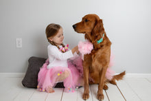 Load image into Gallery viewer, Pink Tutu Skirt With Multicolor Pom Pom Balls and Jewlery - 2Pcs Set
